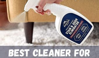Best Cleaner For Dog Urine