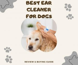 Best Ear Cleaner For Dogs 