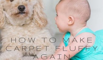 How-to-Make-Carpet-Fluffy-Again