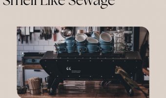 Why-Does-My-Dishwasher-Smell-Like-Sewage