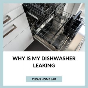 Why-Is-My-Dishwasher-Leaking