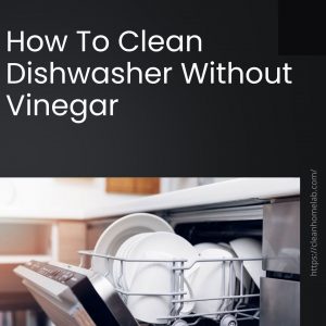 how-to-clean-dishwasher-without-vinegar