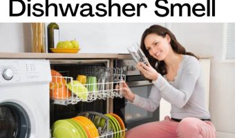 why-does-kitchen-dishwaher-smelly