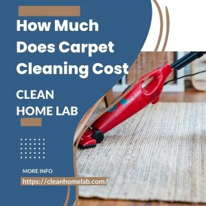 How-Much-Does-Carpet-Cleaning-Cost