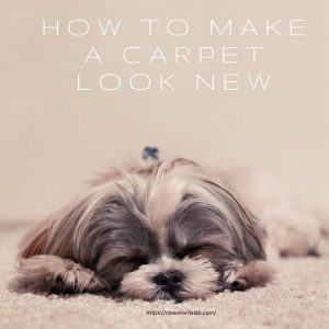 How-To-Make-A-Carpet-Look-New