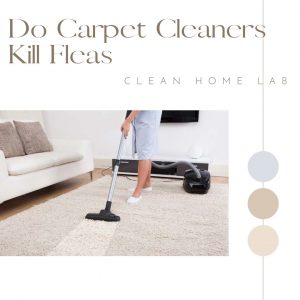 Do-Carpet-Cleaners-Kill-Fleas