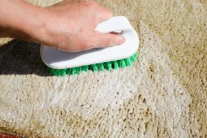 Pretreating-Rugs-By-Removing-Dirt
