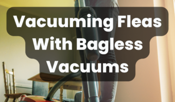 Vacuuming Fleas With Bagless Vacuums
