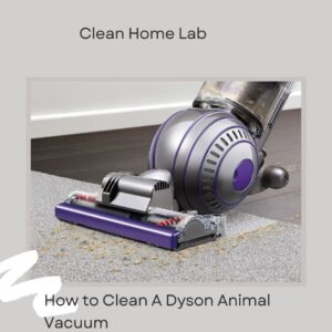How-to-Clean-A-Dyson-Animal-Vacuum